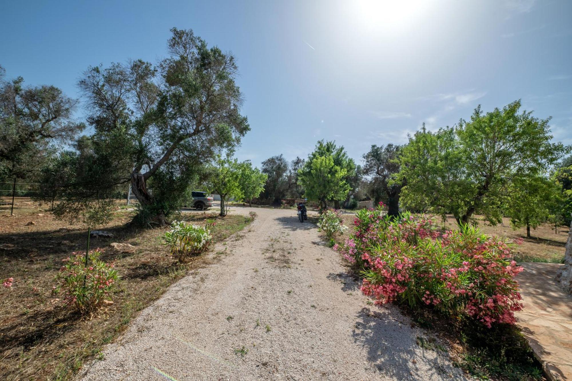 Il Trullo Di Mariangela Villa Челие Месапика Екстериор снимка